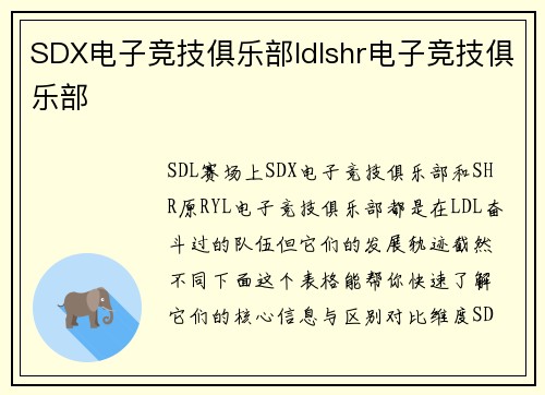 SDX电子竞技俱乐部ldlshr电子竞技俱乐部